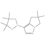 5,5-dimethyl-3-(4,4,5,5-tetramethyl-1,3,2-dioxaborolan-2-yl)-5,6-dihydro-4H-pyrrolo[1,2-b]pyrazole