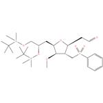 D-glycero-D-gulo-Nonose, 3,6-anhydro-2,4,7-trideoxy-8,9-
bis-O-[(1,1-dimethylethyl)dimethylsilyl]-5-O-methyl-4-
[(phenylsulfonyl)methyl]