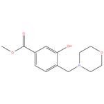 methyl 3 - hydroxy - 4- ( morpholinomethyl ) benzoate