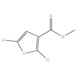 Methyl 2,5-dichlorothiophene-3-carboxylate-98%