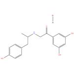 1-(3,5-dihydroxyphenyl)-2-([1-(4-hydroxyphenyl)propan-2-yl]amino)ethan-1-one Hydrobromide