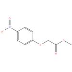 METHYL-2-(4-NITRO PHENOXY)ACETATE