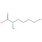 Polylysine