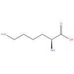 L-Lysine