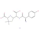 Amoxicillin Related Compound-D