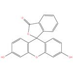 Fluorescein