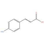 4-AMINO CINNAMIC ACID