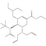 ethyl (3R,4R,5S)-4-N-acetyl(1,1-dimethylethyl)amino-5-N,N-diallylamino-3-(1-ethylpropoxy)-1-cyclohexene-1-carboxylate