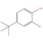 2-BROMO-4-TERT BUTYL PHENOL