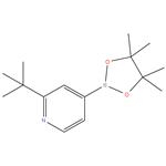 2-tert-butyl-4-(4,4,5,5-tetramethyl-1,3,2-dioxaborolan-2-yl)pyridine