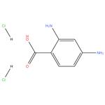 2,4-diaminobenzoic acid dihydrochloride