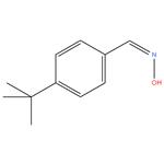 4-tert-Butyl-benzaldehyde oxime