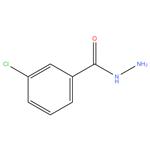 3-Chlorobenzhydrazide-98%