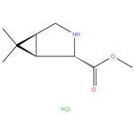 (1R,2S,5S)-methyl 6,6-dimethyl-3-aza-bicyclo[3.1.0]hexane-2- carboxylate hydrochloride