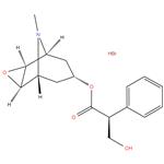 Scopolamine hydrobromide