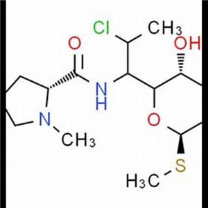 Clindamycin B