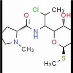 Clindamycin B