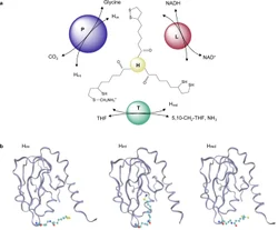 Aminomethyl Imidazole HCL Acid-22600-77-7