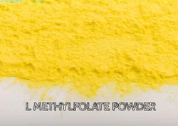 L Methylfolate Powder, Packaging Type: 25 Kg