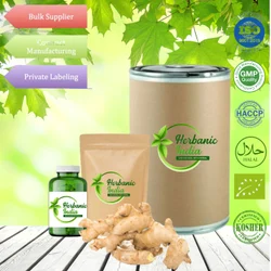 Ginger Root Extract Powder