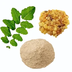 99% Boswellia Extract Powder, Packaging Type: Packet, Packaging Size: 25 kg