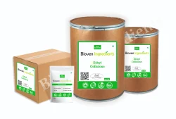 Bioven Ingredient Ethyl Cellulose Powder