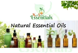 Peru Balsam Essential Oil, Packaging Size: 1 Litre To 180 Litre, Liquid