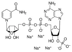 B-Nicotinamide Adenine Dinucleotide Phosphate, Reduced (B-NADPH) (CAS Number: 2646-71-1)