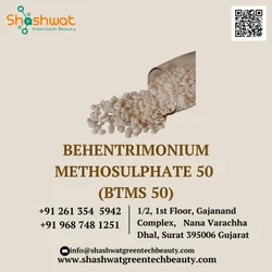 BTMS 50 (Behentrimonium Methosulfate/Cetyl Alcohol/1,3- Butylene Glycol)