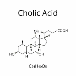CAS 81 25 4 CHOLIC ACID, BP