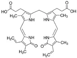 Yellowish to Orange Bilirubin (CAS Number: 635-65-4), Packaging Type: Bottle