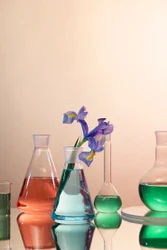 POTASSIUM BITARTRATE (868-14-4 )