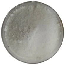 Bismuth Sub Salicylate