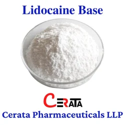 99.5 Purity Lidocaine Base Powder, Grade Standard: IP, Packaging Type: Drum