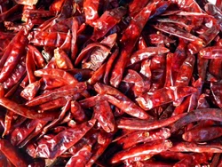 273 Red Chilly, Packaging Size: 50 kg