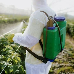 Thiomethoxam Technical, Thiamethoxam, 25 kg