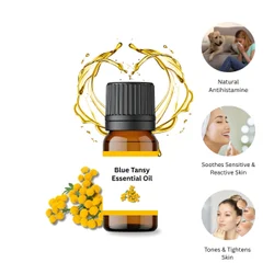 Tanacetum annuum Blue Tansy Essential Oil