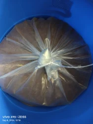 Cupric Chloride Anhydrous, Technical Grade, 98%