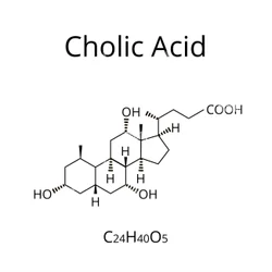 Cholic Acid Phytochemicals Powder, EP
