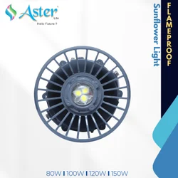 Aluminium LED flame proof lamp