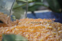 Granules Petroleum C9 Resins, For Industrial, Packaging Size: 25 kg