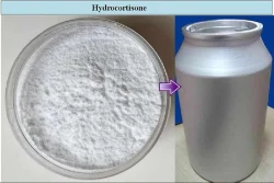 Powder Hydrocortisone Acetate Api, 5 Kg, Non prescription