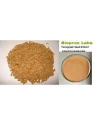 Bioprex Labs Fenugreek Seed Extract, Packaging Size: Drum