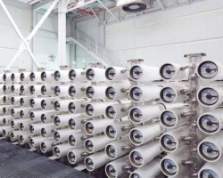 Technical Grade 2,2-Dibromo 3-Nitrilo Propionamide, Powder