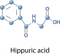Hippuric Acid