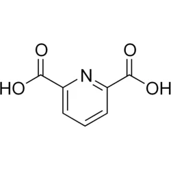 2,6- Pyridinedicarboxylic Acid ( 1KG, 5kg Ready Stock)