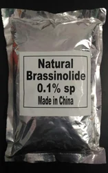 Powder Natural Brassinolide, Packaging Type: Packet, Packaging Size: 1 Kg