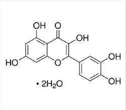 Yellow Quercetin Dihydrate (CAS Number: 6151-25-3), 1 kg / 5 kg / 10 kg / 25 kg