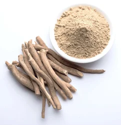 Ashwagandha extract 5% Withanoloids, Packaging Size: 25 kg