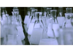 1, 3 Butylene Glycol